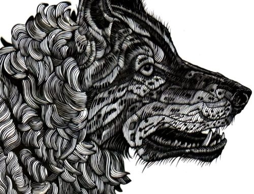 Wolf im Schafspelz /  wolf in sheep’s clothing