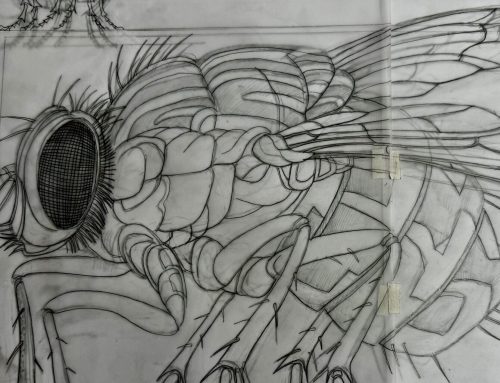 The sequel of the insect series